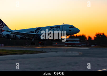 Chabarowsk, Russland - 29.September 2018: Flugzeug Airbus A 319-111 VP-BBN Aurora Airline landet auf dem Flughafen von Chabarowsk. Stockfoto