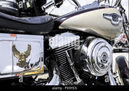 Wien, Harley Davidson Treffen 2009 Stockfoto