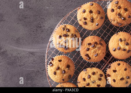 Frisch gebackene choco Chip muffins Abkühlen auf Drahtgeflecht auf dunklem Hintergrund, Text Raum Stockfoto