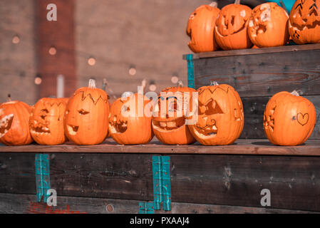 Halloween Kürbis im Herbst noch leben Carving und Schneiden in der Werkstatt vor dem Festival. Stockfoto
