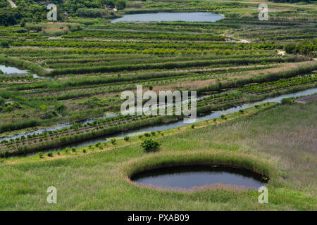 Neretva Delta ist der Fluss Delta der Neretva, ein Fluss, strömt durch Bosnien und Herzegowina und Kroatien und mündet in die Adria. Stockfoto