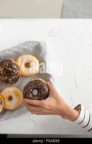 Donuts in der Hand. Frischen hausgemachten Krapfen mit Puderzucker Stockfoto