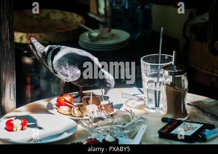 Freche taube Essen vom Restaurant Tisch übrig von der letzten Kunden Essen Stockfoto