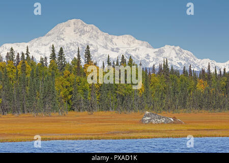 Blick auf den Mount McKinley, der Schnee bedeckt die Oberseite in Denali National Park, Alaska, USA Stockfoto