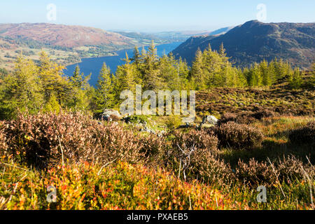 Ullswater von Sheffield Hecht im Lake District, England. Stockfoto