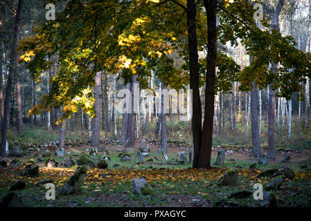 Muslimischer Friedhof, Kruszyniany, Grabstätte, Herbst, Bäume, Frieden, Ort der Anbetung, Gebet, Grabsteine Stockfoto