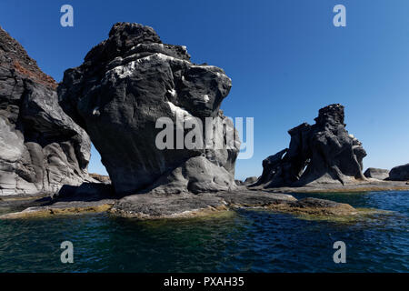 Isla Coronado - Schwimmen mit Seelöwen! Stockfoto