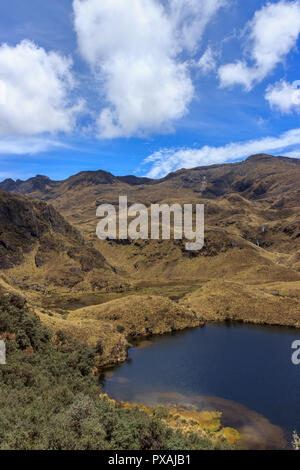 Cajas Nationalpark ist ein Nationalpark im Hochland von Ecuador, legt sich zwischen 3100 m und 4450 m über dem Meeresspiegel eine Tundra Vegetation bietet. Es ist l Stockfoto