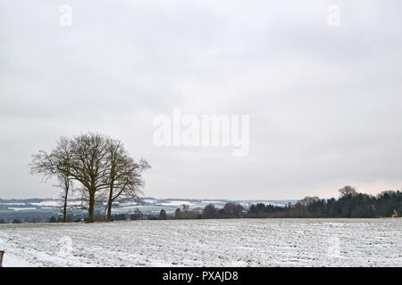 Schnee auf die North Downs zwischen Westerham und Chartwell, März 2018, auf dem greensand Escarpment. Eine beliebte Wanderung. Stockfoto