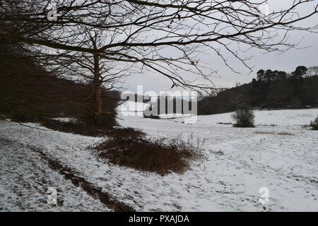 Schnee auf die North Downs zwischen Westerham und Chartwell, März 2018, auf dem greensand Escarpment. Eine beliebte Wanderung. Stockfoto