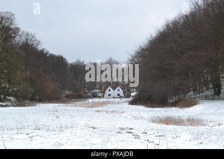 Schnee auf die North Downs zwischen Westerham und Chartwell, März 2018, auf dem greensand Escarpment. Eine beliebte Wanderung. Stockfoto