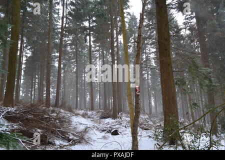 Ende März 2018, Schneefall auf North Downs zwischen Westerham und Chartwell, Heimat von Winston Churchill Stockfoto