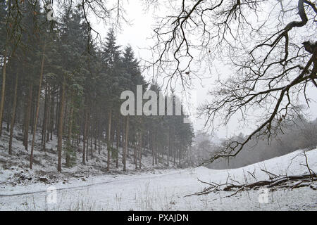 Ende März 2018, Schneefall auf North Downs zwischen Westerham und Chartwell, Heimat von Winston Churchill Stockfoto