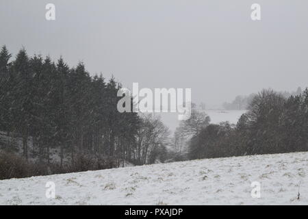 Ende März 2018, Schneefall auf North Downs zwischen Westerham und Chartwell, Heimat von Winston Churchill Stockfoto