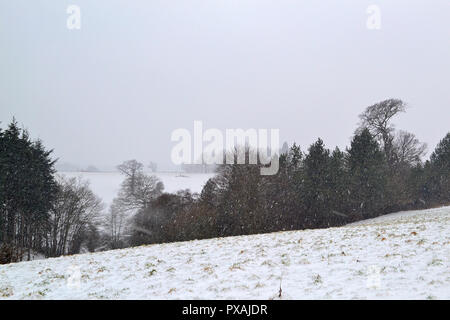 Ende März 2018, Schneefall auf North Downs zwischen Westerham und Chartwell, Heimat von Winston Churchill Stockfoto