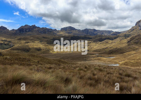 Cajas Nationalpark ist ein Nationalpark im Hochland von Ecuador, legt sich zwischen 3100 m und 4450 m über dem Meeresspiegel eine Tundra Vegetation bietet. Es ist l Stockfoto