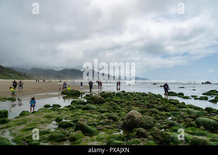 Personen oder Touristen, Haystack Rock marine Garten oder tidepools bei Cannon Beach, beliebten Wahrzeichen der Küste von Oregon, USA. Stockfoto