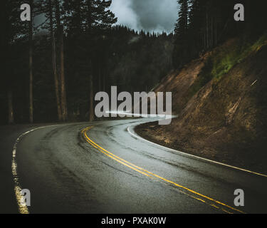 Nasse Wicklung Straße in die Olympic Mountains auf einem Moody, verregneten und nebligen Tag, Olympic Nationalpark, Hurricane Ridge, Washington State, USA. Stockfoto