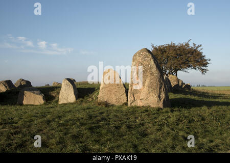 Rund 5000 Jahre alte Großsteingräber große Dolmen in der Nähe von Nobbin im Norden der Insel Rügen in der Ostsee, im Nordosten Deutschlands. Stockfoto