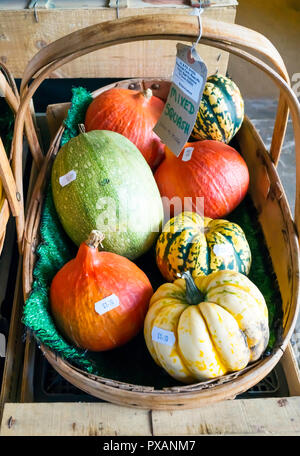 Sortierte günstig Kürbisse zum Verkauf in einem Obst- und Gemüsehändler shop in North Yorkshire im Herbst mit Preisen Stockfoto