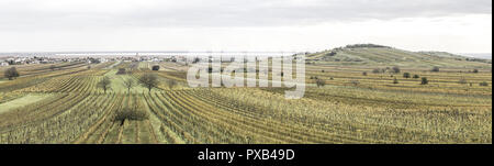 Herbst im Weingut Dorf von Jois an den Neusiedler See, Burgenland, Österreich, Jois Stockfoto