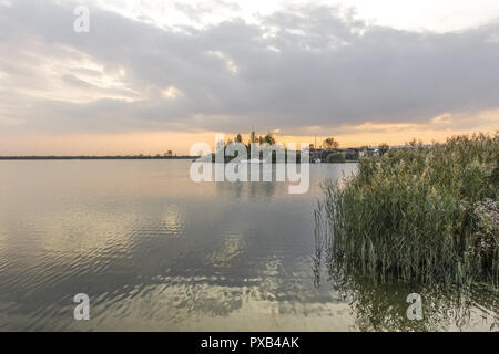 Herbst im Weingut Dorf von Jois an den Neusiedler See, Burgenland, Österreich, Jois Stockfoto