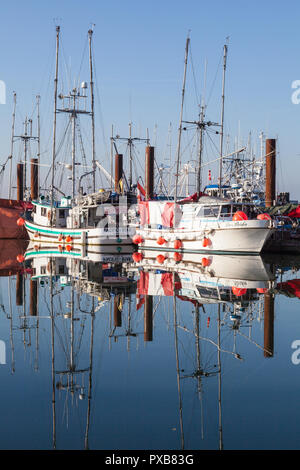 Steveston Hafen auf einem nebligen Oktober Morgen Stockfoto