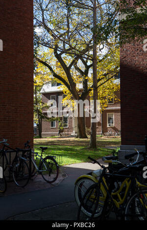 Parken Sie auf den Campus in der Stadt Cambridge in Massachusets Stockfoto