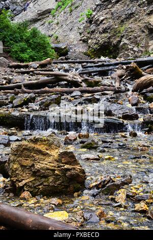 Wasserfall und Strom auf die Berge von Wanderwegen Donut fällt in großen Cottonwood Canyon, in der Wasatch Front Rocky Mountains, Utah, W Stockfoto
