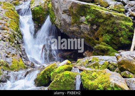 Wasserfall und Strom auf die Berge von Wanderwegen Donut fällt in großen Cottonwood Canyon, in der Wasatch Front Rocky Mountains, Utah, W Stockfoto
