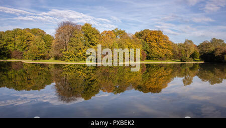 City Park, Herbst, München, Deutschland. Wiese, Bäume und Reflexionen in einem Teich Stockfoto