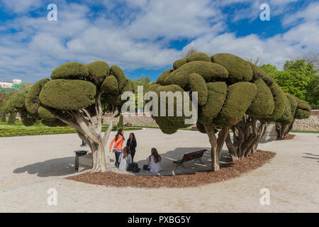 Der Buen Retiro Park ist einer der zahlreichen Parks und Gärten der spanischen Hauptstadt, mit seinen wunderschönen Seen, Brunnen, Pavillons und Pfauen Stockfoto