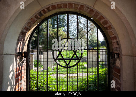 David stern Symbol auf gewölbten Fenster Gitter am alten Friedhof im Jüdischen Viertel Kazimierz in Krakau, Polen Stockfoto