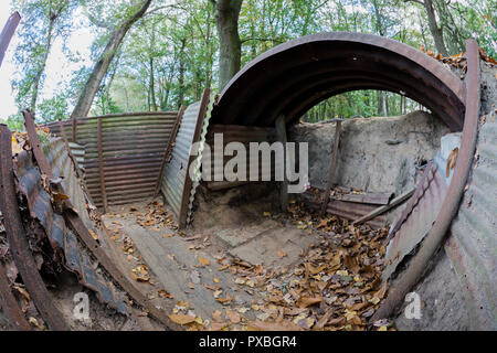 Sanctuary Holz Gräben und weggeworfenen Schalen in Ypern, Belgien Stockfoto