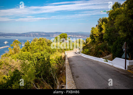 Eine Straße auf den Felsen von Gibraltar im Upper Rock Nature Reserve. Gibraltar ist ein Britisches Überseegebiet im südlichen Spanien. Stockfoto