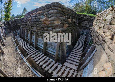 Gräben bei Passchendaele Museum, Belgien Stockfoto