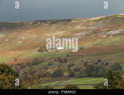 Yorkshire Dales National Park Herbst Landschaft, Fremington Kante, Reeth, Swaledale, Großbritannien Stockfoto