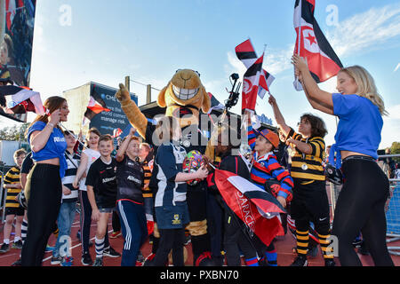 London, Großbritannien. Okt, 2018 20. Die Sarazenen Unterstützer während der Europäischen Rugby Champions Cup, Round 2, Pool 3 Übereinstimmung zwischen Sarazenen und Lyon bei der Allianz Park am Samstag, den 20. Oktober 2018. LONDON ENGLAND. (Nur redaktionelle Nutzung, eine Lizenz für die gewerbliche Nutzung erforderlich. Keine Verwendung in Wetten, Spiele oder einer einzelnen Verein/Liga/player Publikationen.) Credit: Taka Wu/Alamy leben Nachrichten Stockfoto