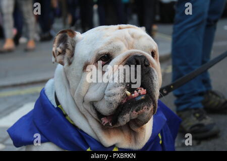 London, Großbritannien. Okt, 2018 20. Die Abstimmung März: Hunderttausende besuchen London protest Credit: Jason Murphy/Alamy leben Nachrichten Stockfoto