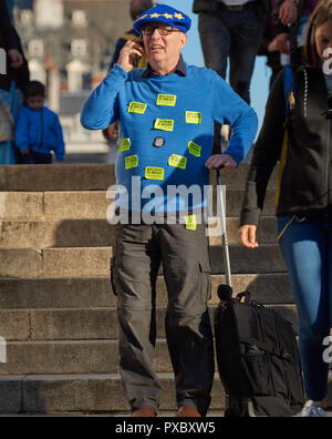 London, Großbritannien. Okt, 2018 20. Ein anti-Brexit Demonstrator im März am Samstag, den 20. Oktober 2018 an die Londoner gegen das Vereinigte Königreich die EU verlassen protestieren. Quelle: Michael Foley/Alamy leben Nachrichten Stockfoto