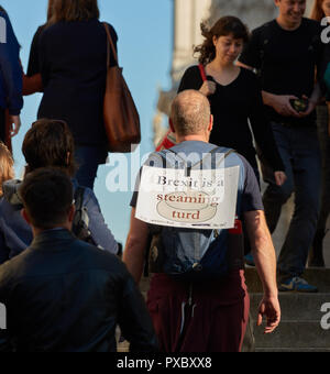 London, Großbritannien. Okt, 2018 20. Ein anti-Brexit Demonstrator im März am Samstag, den 20. Oktober 2018 an die Londoner gegen das Vereinigte Königreich die EU verlassen protestieren. Quelle: Michael Foley/Alamy leben Nachrichten Stockfoto