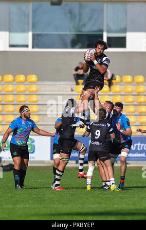 Parma, Italien. 20. Oktober, 2018. Bären ' Flanker Steven Luatua den Ball in der Note erhält im Spiel gegen Zebre Rugby Club in europäischen Rugby Challenge Cup Runde 2 © Luca Sighinolfi/Alamy leben Nachrichten Stockfoto