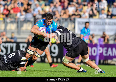 Parma, Italien. 20. Oktober, 2018. Die flanker Zebre Johan Meyer versucht, den Ball zu halten, nach Pausen ein doppelter Angriff im Spiel gegen den Bären in europäischen Rugby Challenge Cup Runde 2 © Luca Sighinolfi/Alamy leben Nachrichten Stockfoto