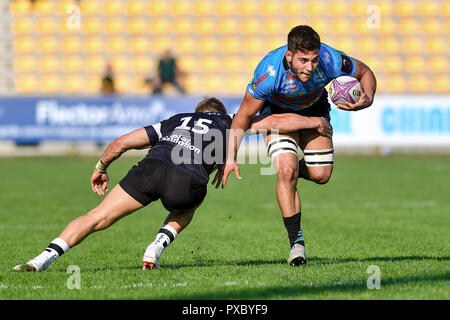 Parma, Italien. 20. Oktober, 2018. Zebre n 8 Renato Giammarioli die Kugel im Spiel trägt gegen Bären in europäischen Rugby Challenge Cup Runde 2 © Luca Sighinolfi/Alamy leben Nachrichten Stockfoto