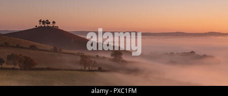 Colmers Hill, Bridport, Dorset, Großbritannien. 21. Oktober 2018. UK Wetter: einem nebligen Start in den Tag auf der ikonischen Wahrzeichen von Colmers Hill, Dorset. Credit: Celia McMahon/Alamy leben Nachrichten Stockfoto