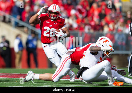 Madison, WI, USA. Okt, 2018 20. Wisconsin Dachse zurück laufen Taiwan beschäftigen #28 hetzt die Kugel während der NCAA Football Spiel zwischen den Illinois Fighting Illini und die Wisconsin Badgers in Camp Randall Stadium in Madison, WI. Wisconsin besiegt Illinois 49-20. John Fisher/CSM/Alamy leben Nachrichten Stockfoto