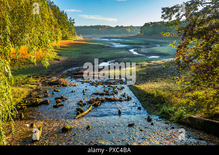 Derbyshire, Großbritannien. Okt 2018 21. Nach einer langen Phase der geringen Niederschlägen reservoir Levels sind weit unter dem Durchschnitt in Staunton Harold gesehen von Severn Trent Water verwaltet. Credit: Bill Allsopp/Alamy Leben Nachrichten. Stockfoto