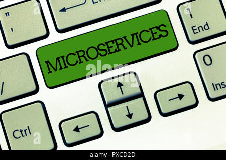 Handschrift text MicroServices-Architektur. Konzept sinn Software Entwicklung Technik Gebäude einzelne Funktion Modul. Stockfoto