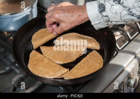 Mexikanische Tacos dorados Nur scharfe Salsa Kopfsalat und Sahne hinzufügen, die Zutaten Stockfoto