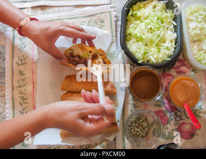 Mexikanische Tacos dorados Nur scharfe Salsa Kopfsalat und Sahne hinzufügen, die Zutaten Stockfoto